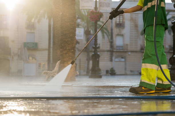 Animal Enclosure Cleaning in Poncha Springs, CO
